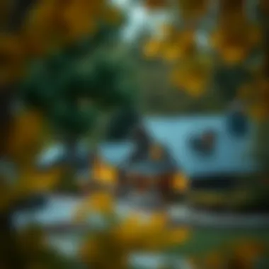 Magnificent An In-Depth Guide to Navigating Home Loan Rates Magnificent An In-Depth Guide to Navigating Home Loan Rates