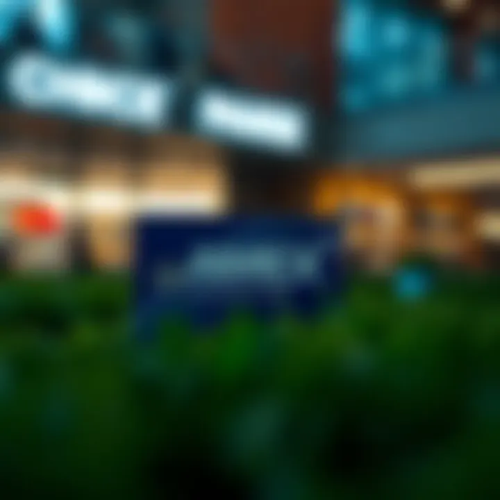 Magnificent Comprehensive Overview of AMEX Employee Card Benefits