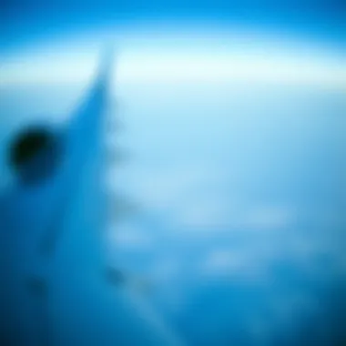 Magnificent Exploring the JetBlue Credit Card Bonus Magnificent Exploring the JetBlue Credit Card Bonus