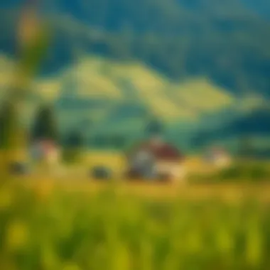 Magnificent Understanding Rural Loans for Housing: An In-Depth Exploration Magnificent Understanding Rural Loans for Housing: An In-Depth Exploration