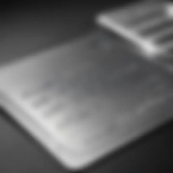 Infographic highlighting the key benefits of the Amex Platinum Companion Card.