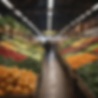 A colorful display of fresh produce in a market