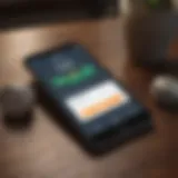 A smartphone displaying a debt management app interface