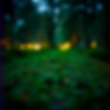 Exploring the Path to a $10,000 Loan Summary