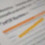 A close-up of a credit report document with highlighted discrepancies.
