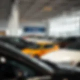 Diverse Car Selection Showroom showcasing a variety of cars