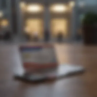 Reporting Lost Card An individual reporting a lost card via a smartphone
