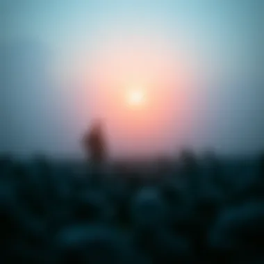 Risks associated with borrowing against benefits