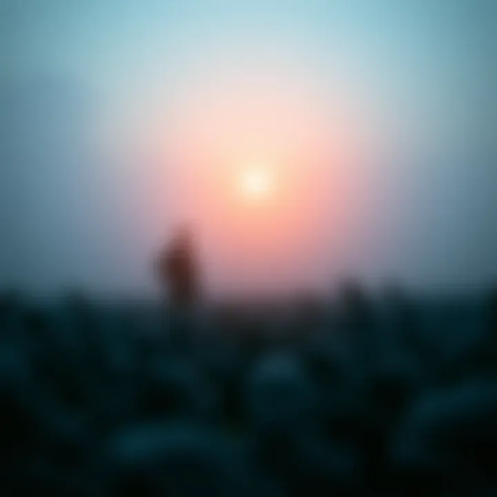 Risks associated with borrowing against benefits