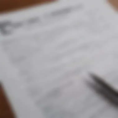 Auto Loan Application Form A close-up view of an auto loan application form with a pen placed on top.