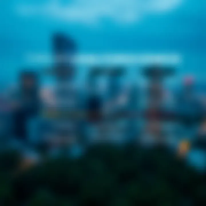 Types of Loan Forgiveness Infographic detailing different types of loan forgiveness