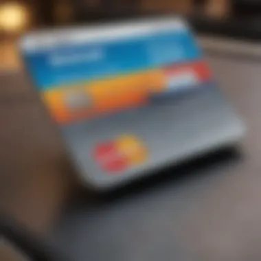 Digital Interface of a Credit Card Info Finder Illustration depicting a digital interface of a credit card info finder tool