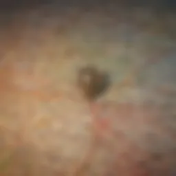 A detailed map highlighting various sales tax rates across different regions